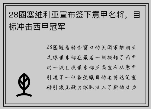 28圈塞维利亚宣布签下意甲名将，目标冲击西甲冠军